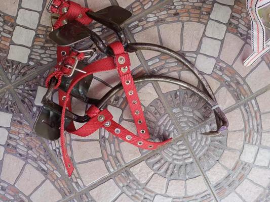 Beli Heavy-Duty Adjustable Wood Pole Climber dengan Spikes tajam untuk tiang utilitas 300mm online manufacture